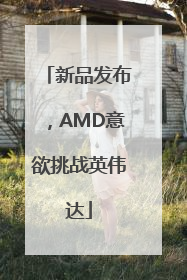 新品发布，AMD意欲挑战英伟达